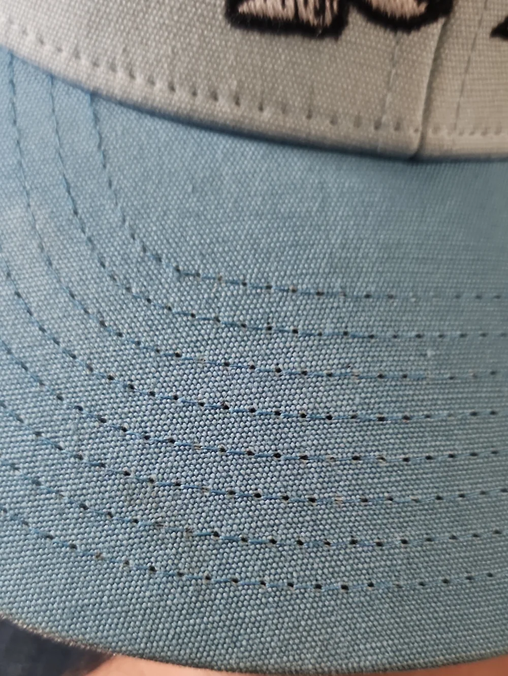 Patagonia Kids Trucker Hat Snapback Baby Blue